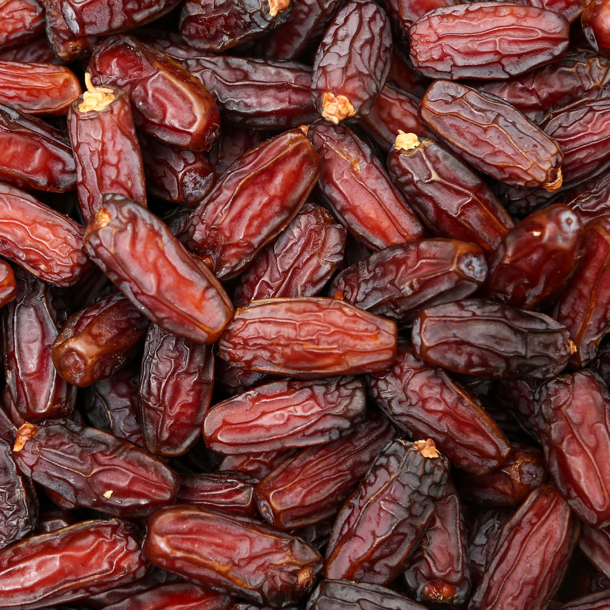 Sn Dates - Mabroom Special Jumbo Dates